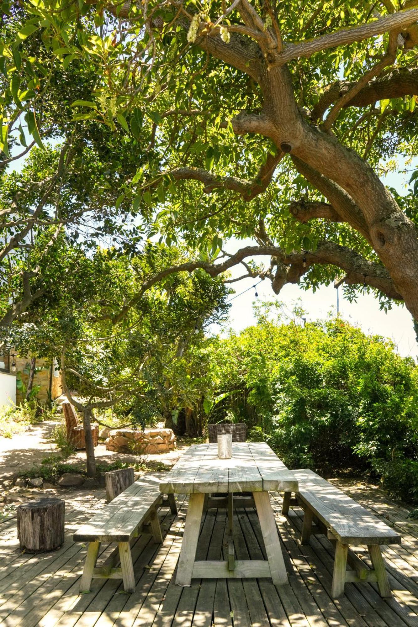 פלטנברג ביי Die Ou Kliphuis מראה חיצוני תמונה